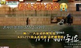 威廉跑腿爆料视频,揭秘幕后真相，带你走进神秘世界